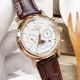 Replica Patek Philippe Complications Brown Leather Strap Gold Case Watch (1)_th.jpg